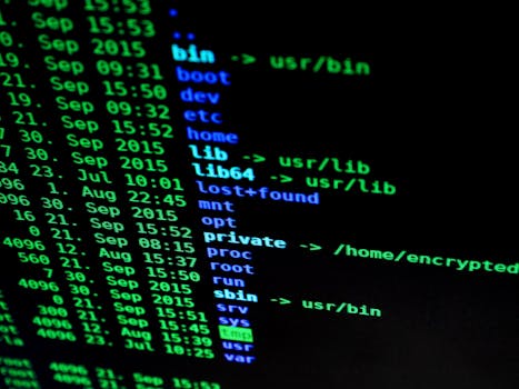 Mesh vs Router and Extender: Which Wi Fi Solution Should You Buy?