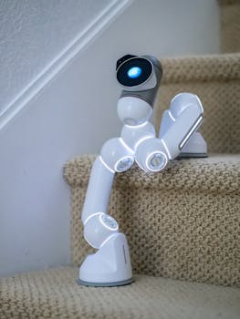 Wired vs Wireless Smart Cameras: Which Should You Buy?